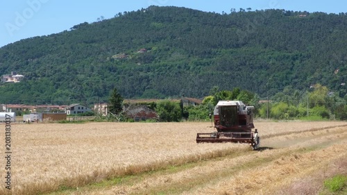 Combine harvester harvesting a golden grain field in rural Italy with green mountains in the background, concept of food production, sustainable agriculture and food security.