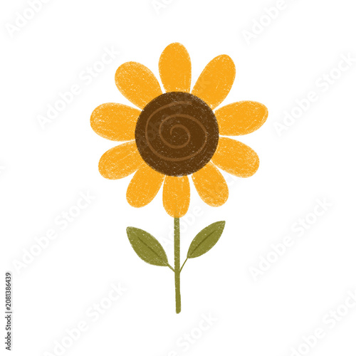 sunflower isolated on transparent background