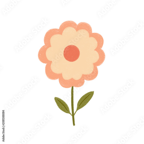 Simple illustration pink flower isolated on transparent background