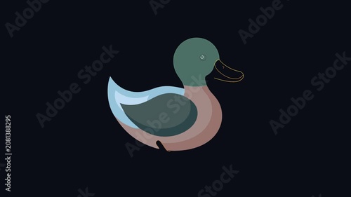 Duck motion illustration on black background simple stylized bird