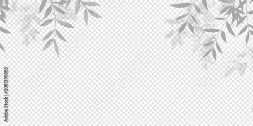 Foto soft shadows of plant leaves on transparent background shade foliage shadow effe