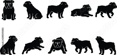 Foto Bulldog silhouette vector collection of English bulldog in different poses and movements isolated on transparent background