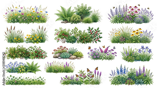 Hand Drawn Watercolor Biodiversity Planting Borders and Ecological Garden Vector Set