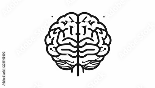 Detailed illustration of a human brain.