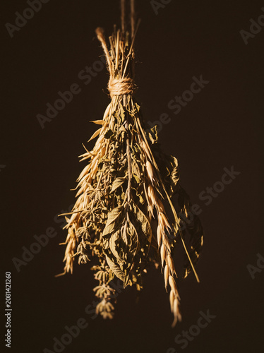 Dried herb bundle hanging against dark moody background