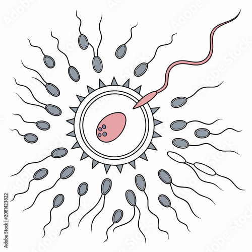 Foto Scientific of a sperm cell entering an egg cell with surrounding sperm cells in