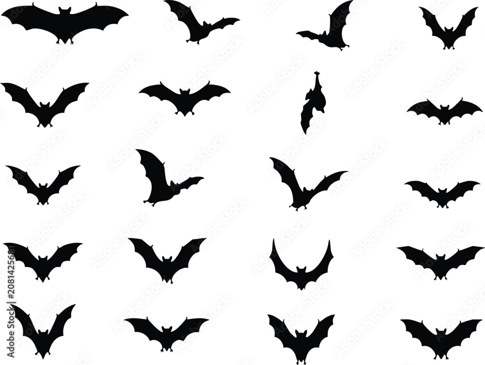 Fototapeta premium A collection of twenty black silhouettes of bats in various flying positions and shapes isolated on a plain white background for