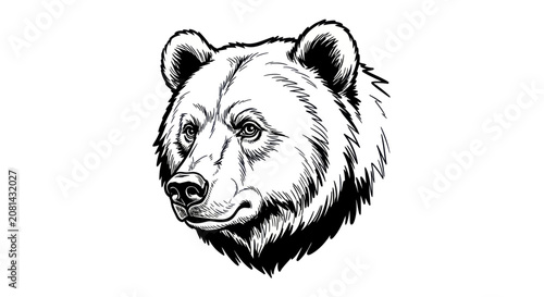 Bild auf Leinwand Majestic grizzly bear head portrait in black and white line art