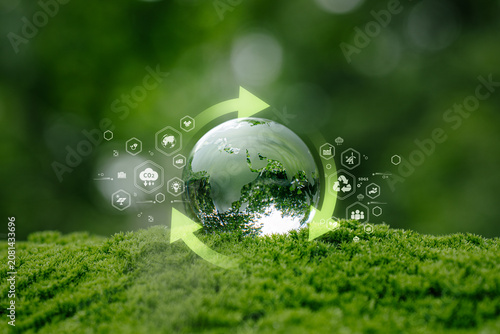 Bild auf Leinwand Glass globe in green forest with circular economy concept
