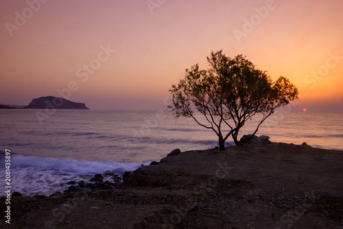 Foto A lone tree stands on a rocky shore as the sun sets over the ocean, casting a warm orange glow across the sky and water