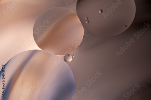 Abstract Colorful Dots on Vibrant Background