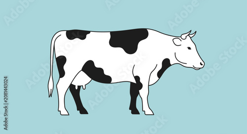 Photos Black and white cow standing still.