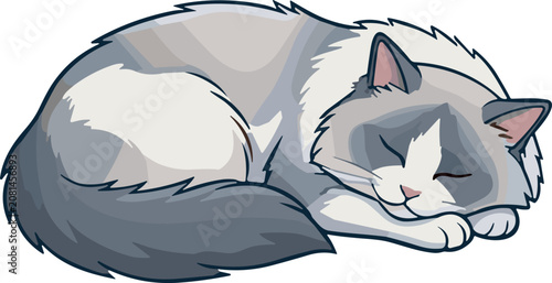 Cute Fluffy Ragdoll Cat Sleeping Curled Up Vector Illustration Isolated on White Background for Pet Care Veterinary and Adorable Animal Graphic DesignsCute Fluffy Ragdoll Cat Sleeping Curled Up Vector