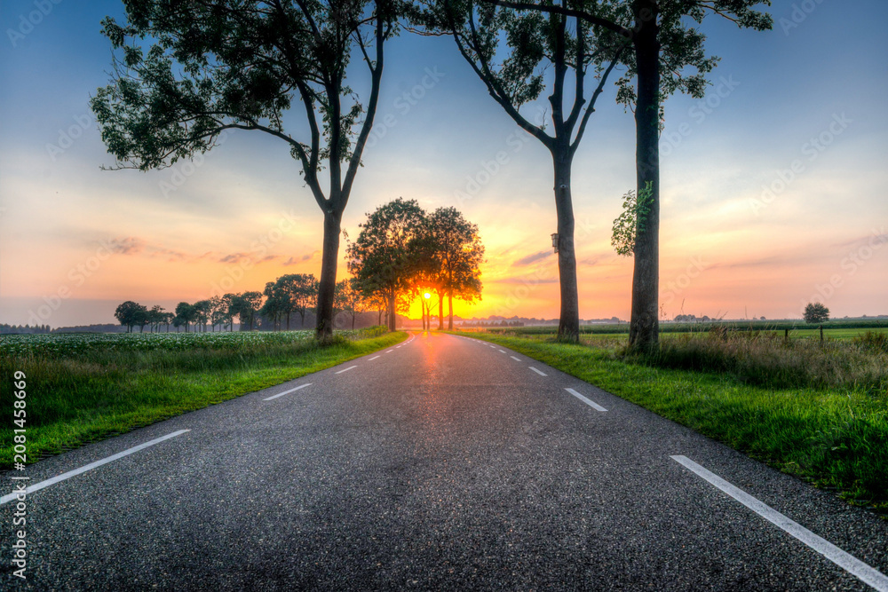 Fototapeta premium Empty Country Road at Sunrise Between Trees