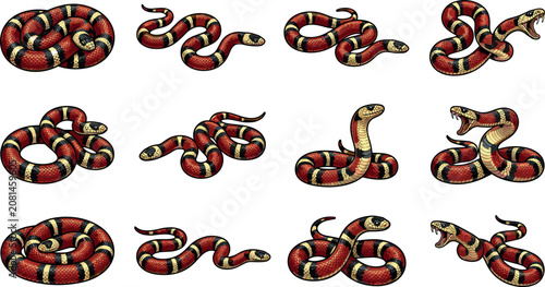Coral Snake and Milk Snake Cartoon Vector Icon Set with Various Poses Slithering Coiled and Attacking for Wildlife and Educational DesignsCoral Snake and Milk Snake Cartoon Vector Icon Set with Variou