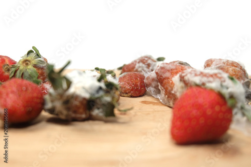 Fotografía A collection of several strawberries in various stages of decay scattered across a light-colored wooden cutting board, with most of them heavily covered in thick, white fuzzy mold