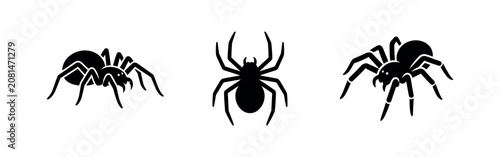 Φωτογραφία Three Black Silhouette Icons of Spiders on a White Background