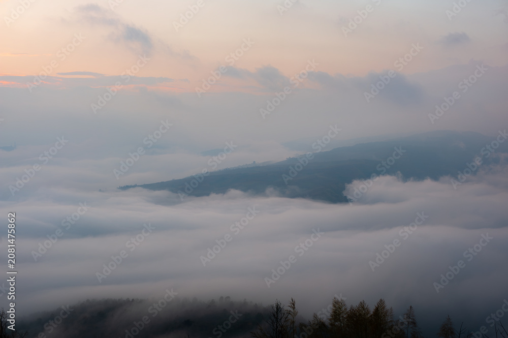 Fototapeta premium On a mountaintop, in the forest, in the morning with a sea of ​​fog.