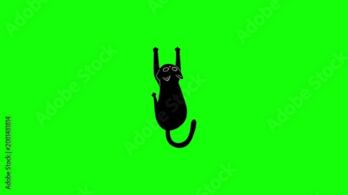 Black Cat Hanging Upside Down Against Bright Green Screen Background