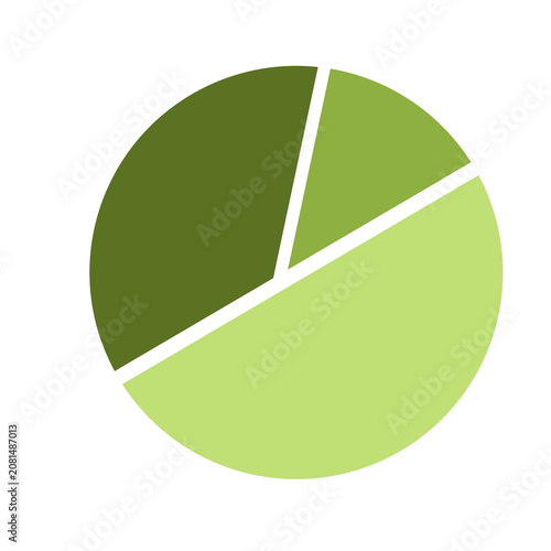 Business Pie Chart Infographic Icon