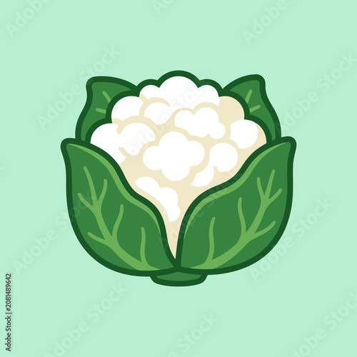 A simple cartoon illustration of a fresh green cauliflower