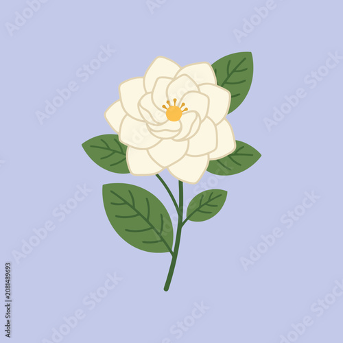 A white gardenia flower with green leaves on purple
