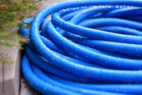 Obraz na płótnie Blue water hose, Blue garden hose