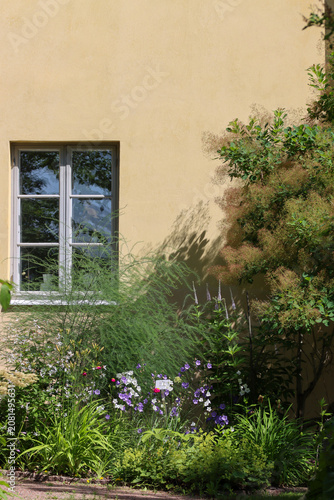 Obraz na plátně flowers front of the buiding wit window