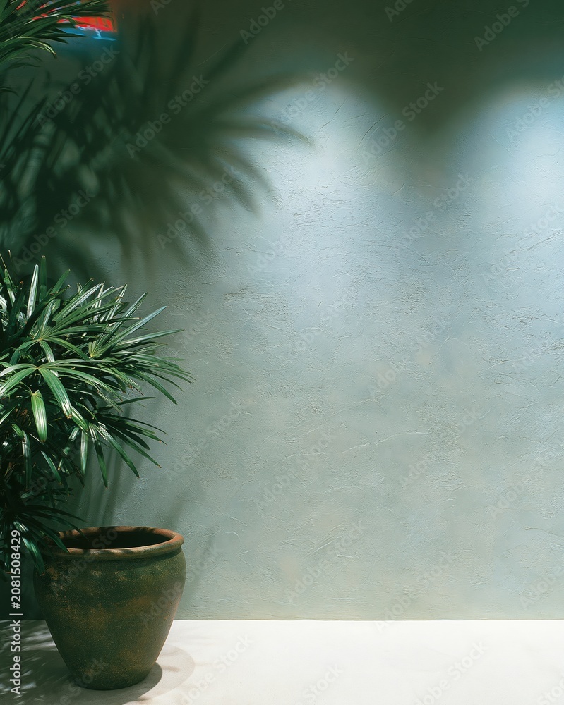 Fototapeta premium Green textured plaster wall background with potted plant and leaf shadows for interior mockup design, spa product backdrop and zen meditation poster styling