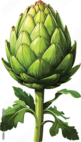Green artichoke plant with ...