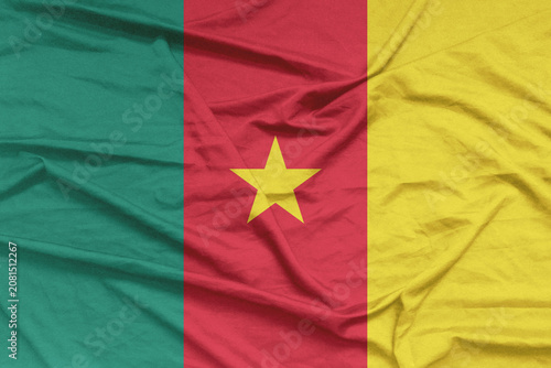 Cameroon Flag Air Waves Close Up