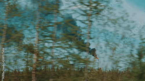 Abstract motion blur of trees along a road under blue sky