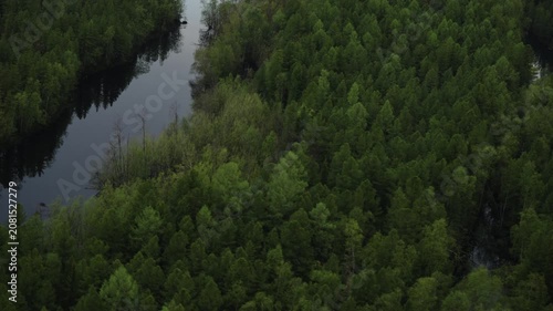 Aerial View of Lush Forest Wetlands with Dark Meandering Waterways