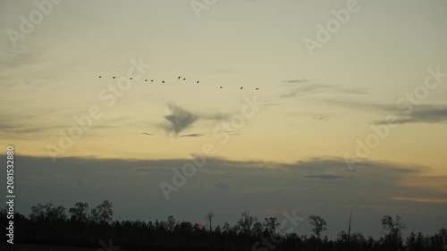 Flock at dusk over tranquil wetland, silhouettes against pastel sky