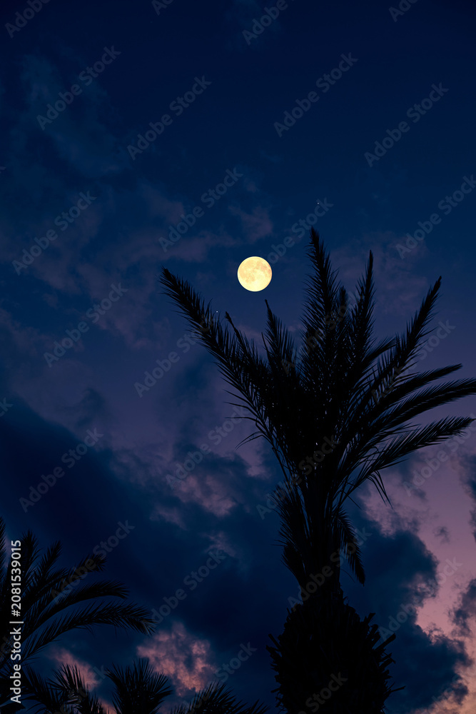 Fototapeta premium Full Moon on a twilight sky with landscape silhouettes.