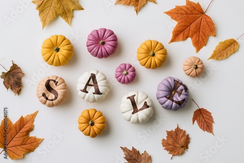Pumpkins and leaves arranged for seasonal sale decor