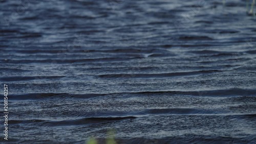 Dark Blue Lake Ripples in Wind, Close-Up Water Surface Texture