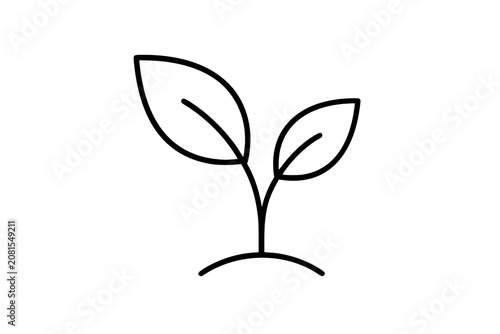 Billede på lærred Tree sapling vector icon in delicate hand-drawn outline style, two leaves sprout