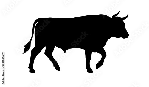Cuadro en lienzo Minimal Black Dairy bul Cow Walking Silhouette Vector Isolated on White Backgrou