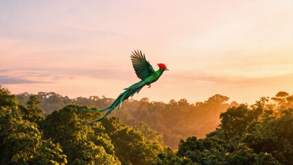 Colorful bird flying over forest at sunset