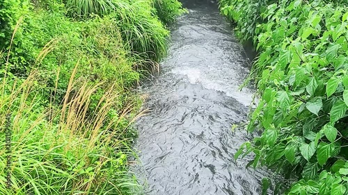 激しい川の流れ