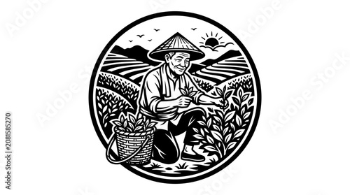 Asian man in conical hat farming.