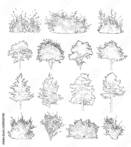 Bild auf Leinwand Pack of trees and bushes in elevation view for use in architectural drawings
