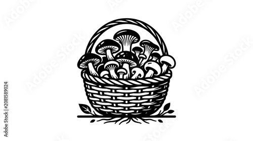 Fotografie A basket full of mushrooms.