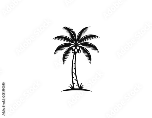 coconut tree