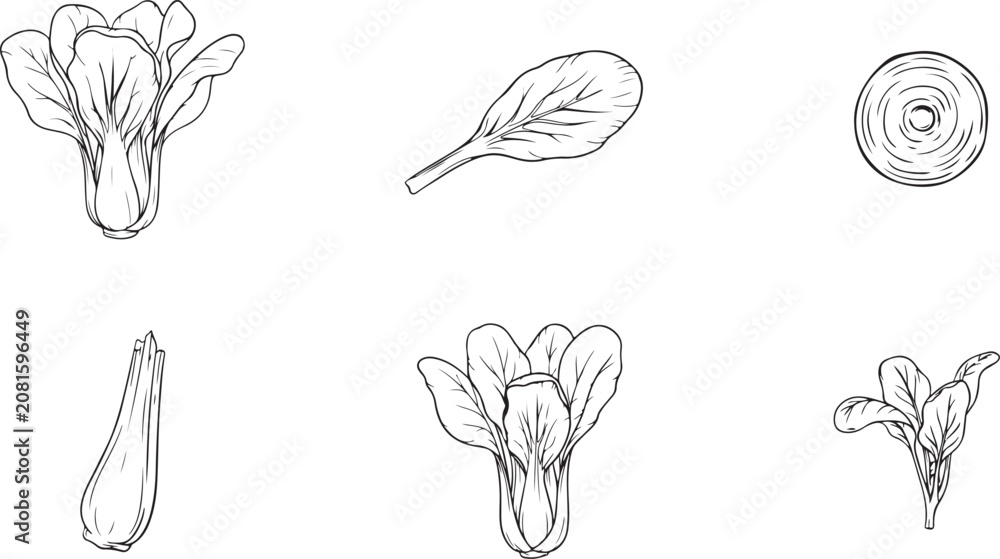 Fototapeta premium Mustard illustration vector design