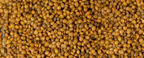 Foto Cooked lentil, boiled green lentils