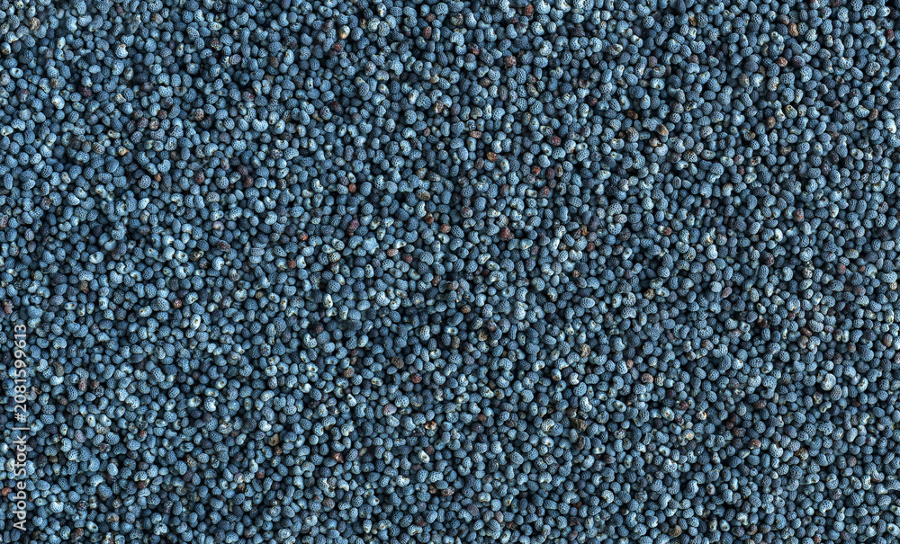 Fototapeta premium Macro Detailed Poppy Seed Pattern Top View