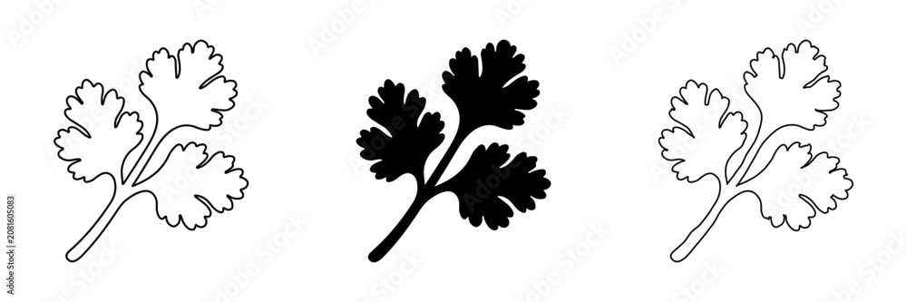 Fototapeta premium Collection of coriander leaf icons in outline, solid, and hand-drawn styles