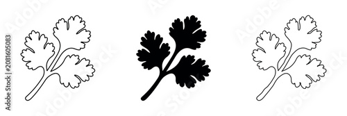 Canvastavla Collection of coriander leaf icons in outline, solid, and hand-drawn styles